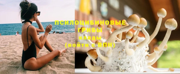 мдпв Новокубанск